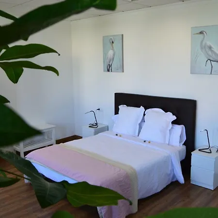 Moai Loft * Arrecife (Lanzarote)