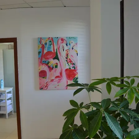 Moai Loft アレシフェ